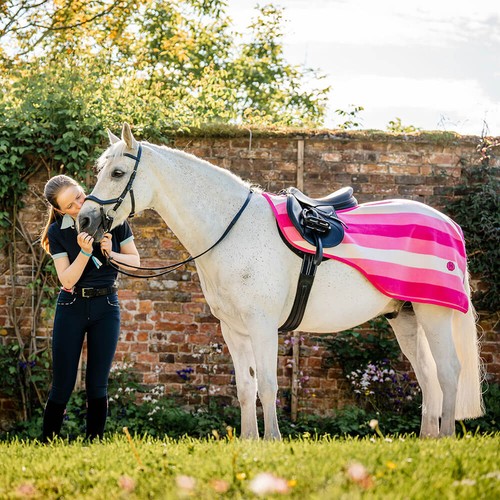Horseware newmarket exercise - horseware,