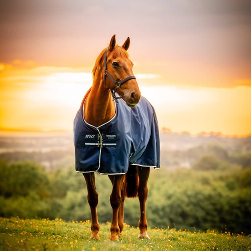 Horseware amigo ripstop - horseware,