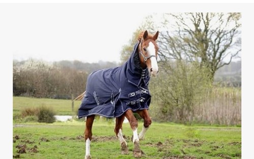 Rhinegold full neck arizona - full,