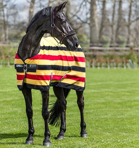 Horseware newmarket fleece - horseware,