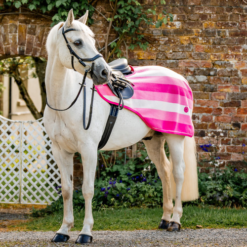 Horseware newmarket exercise - horseware,