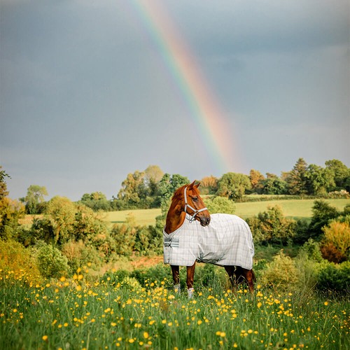 Horseware newmarket fly sheet - newmarket,