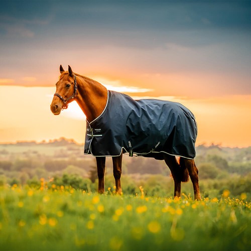 Horseware amigo ripstop 900d - horseware,