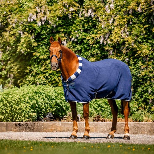 Horseware newmarket cosy - horseware,