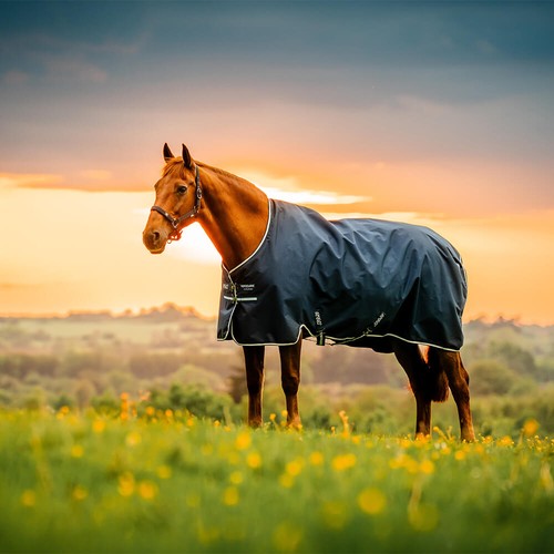 Horseware amigo ripstop - amigo,