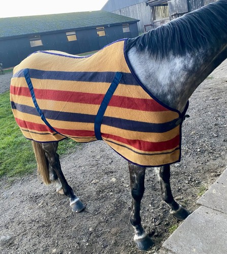 Genuine early witney - genuine,