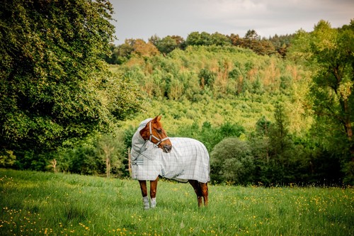 Horseware newmarket plus fly - newmarket,