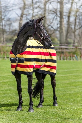 Horseware rambo deluxe fleece - deluxe,